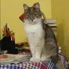 Отзыв от Динара Куприянова